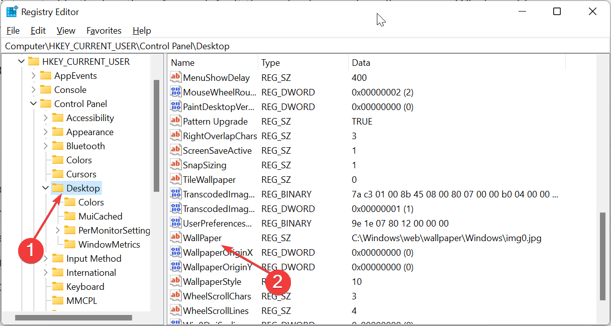 主题背景位于 Windows 11 中的什么位置?