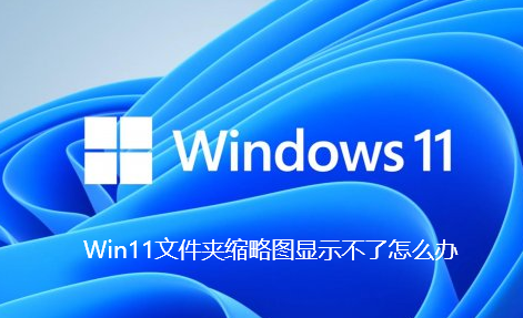 Win11文件夹缩略图显示不了怎么办