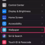 如何在 iPhone 上使用多计时器与 iOS 17