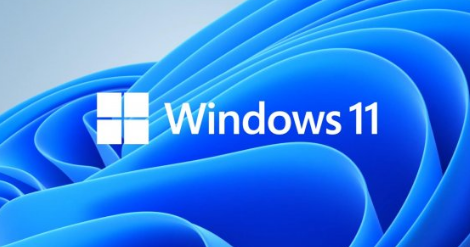 Win11如何分盘
