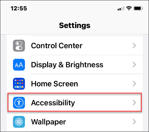 如何在 iPhone 上反转颜色