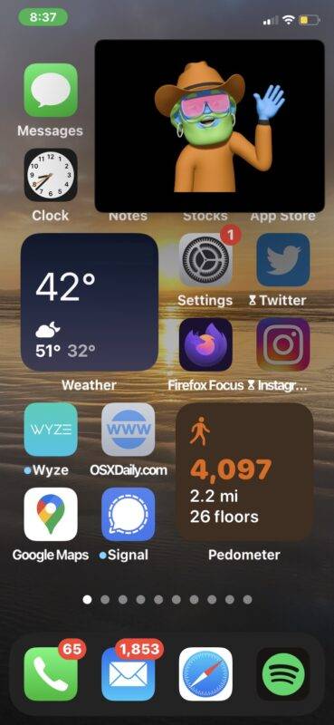 如何在 iPhone 上画中画缩放会议