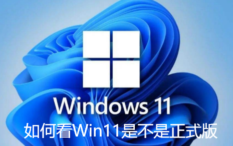 如何看Win11是不是正式版