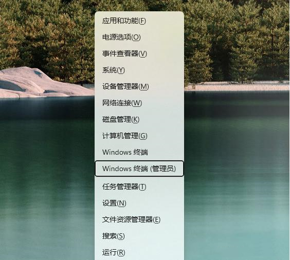 Win11微软应用商店如何更新