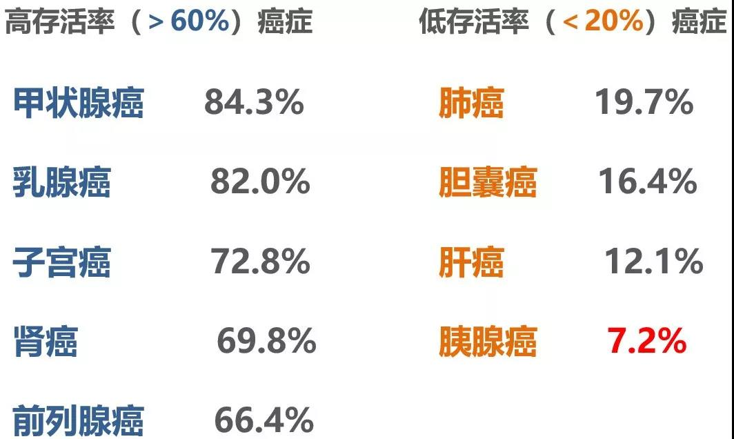 达摩院的AI研究,让人类首次实现了大规模胰腺癌早筛
