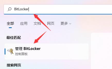 加密win11驱动器的指南