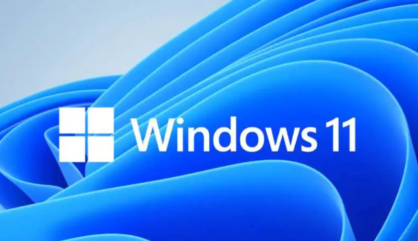 优化虚拟内存使用，提高win118g内存性能