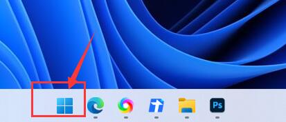 如何详细使用Windows 11的搜索栏？