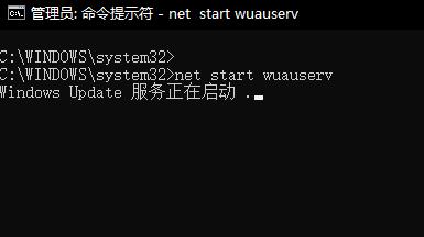 win101903更新错误0x800f081f解决方法