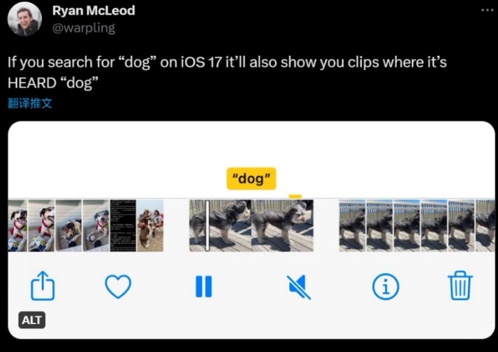 iOS 17隐藏功能：通过关键字搜索iPhone视频内声音