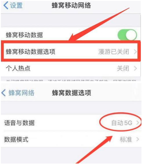 iPhone 13如何关闭5G网络只使用4G网络？