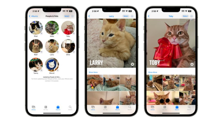 iOS17照片更新：更精准地识别人物和宠物