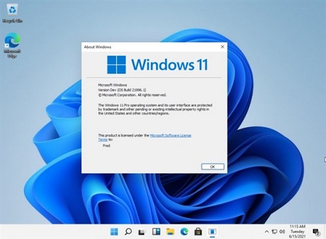 如何在Windows 11中设置分屏功能