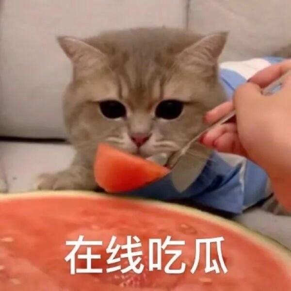 小米这回,被骂得气炸了