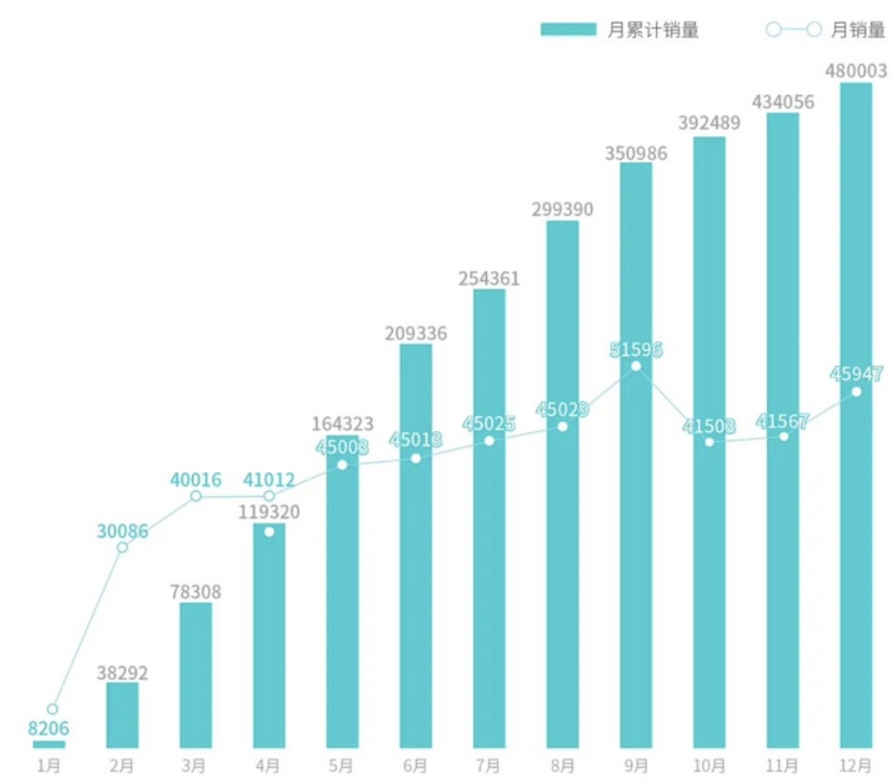 新能源车企扎堆放榜,谁能完成年初立下的FLAG?
