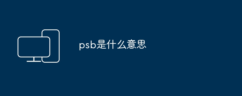 psb是什么意思