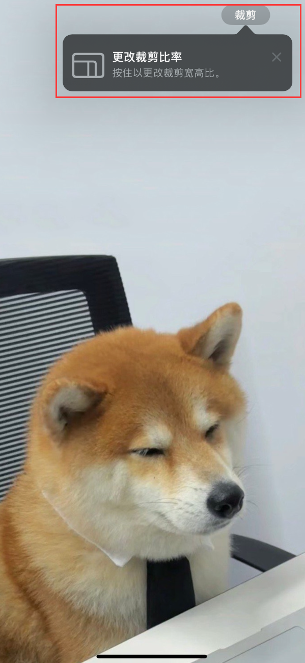 iOS 17 小技巧:编辑 iPhone 照片时可快速裁剪