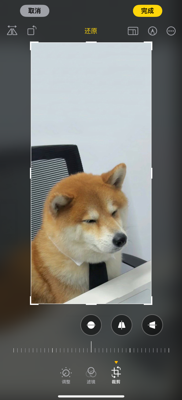 iOS 17 小技巧:编辑 iPhone 照片时可快速裁剪