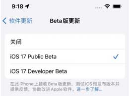 升级iOS17公测版前应该考虑的因素
