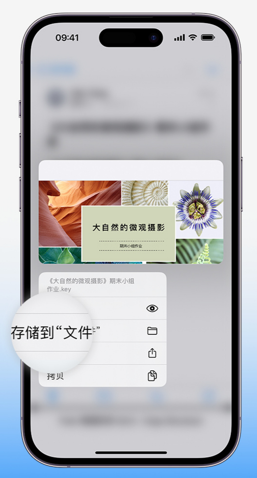 小技巧:在 iPhone 文件应用中存储和找到下载文件