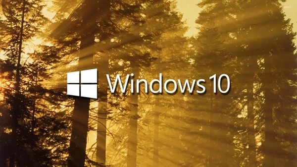 解决方法：在win10设备管理器中找不到端口选项？