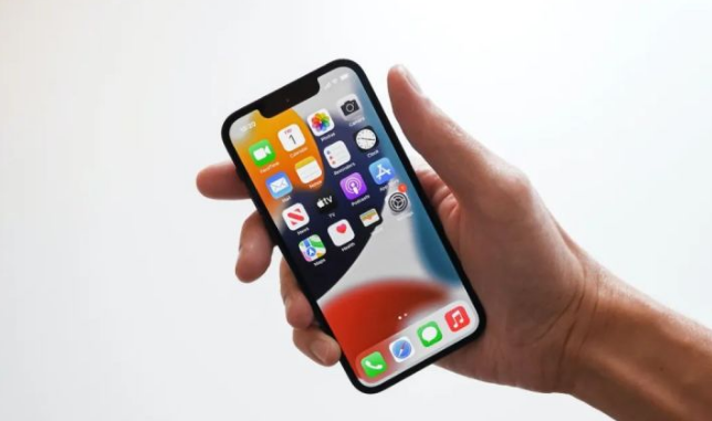 如何在iPhone上录制屏幕？iPhone屏幕录制详细指南