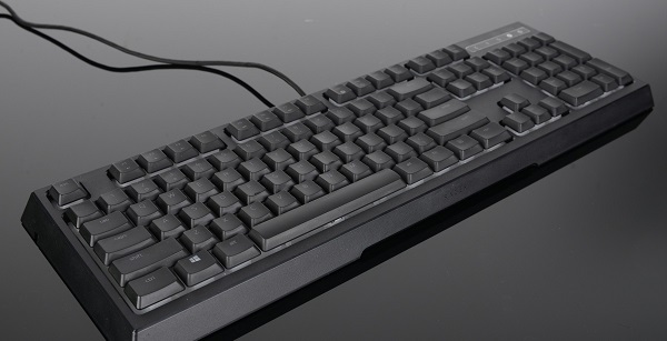 雷蛇萨诺狼蛛与雨林狼蛛的异同