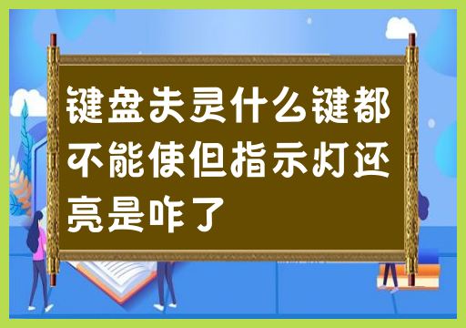 键盘失灵什么键都不能使但指示灯还亮是咋了