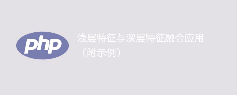 示例：利用浅层和深层特征融合的应用领域分析