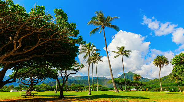 一文详解Python中__new__方法的作用