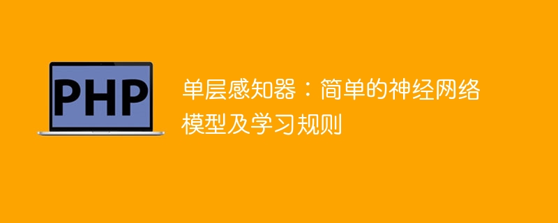 单层感知器:简单的神经网络模型及学习规则