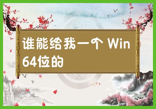 寻找一个针对64位Windows系统的获胜者