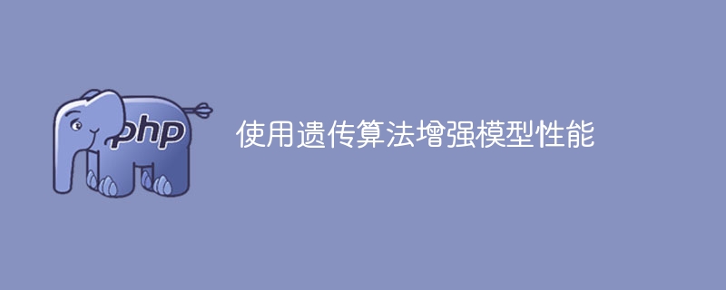 优化模型性能的遗传算法应用