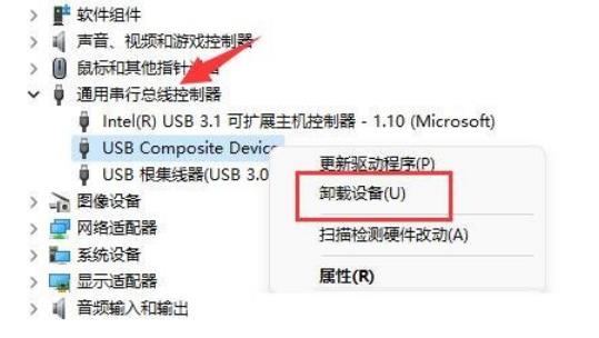 Win11移动硬盘不显示解决方法?Win11移动硬盘不显示问题解析