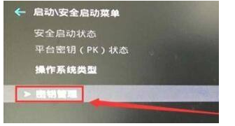 win11安全启动状态怎么打开?Win11安全启动状态开启的五种教程