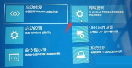 win11 23h2退回win10没反应解决方法?win11 23h2退回Win10没反应的解决方法