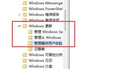 戴尔win11怎么关闭自动更新？戴尔win11关闭自动更新的方法