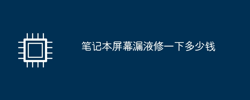 笔记本屏幕漏液修一下多少钱