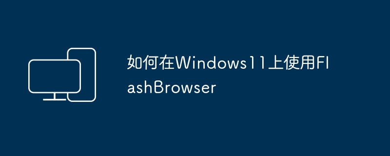 如何在Windows11上使用FlashBrowser