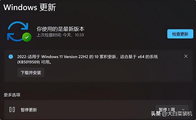 大白菜u盘装机系统教程视频