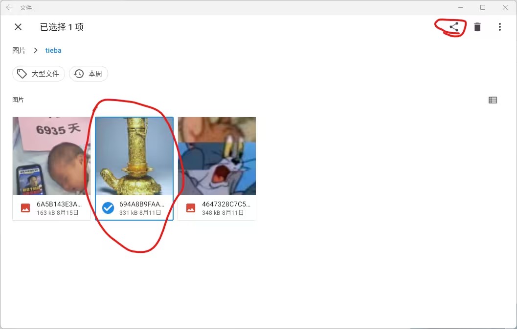 Win11安卓子系统怎么导出文件?Win11安卓子系统导出文件的方法