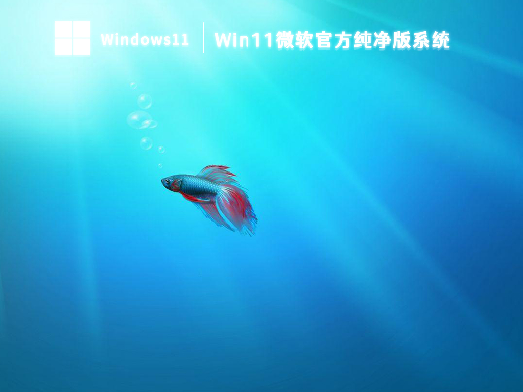 笔记本专用Win11系统下载(宏碁、惠普、华硕、戴尔、联想)