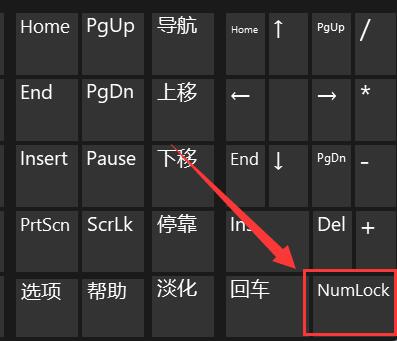 win11电脑键盘打不出字怎么办?win11打不了字的解决方法