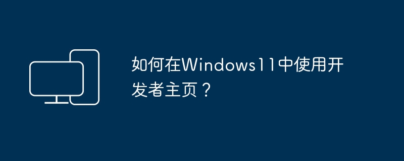 如何在Windows11中使用开发者主页?