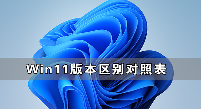 Win11各个版本有什么不同？Win11版本区别对照表