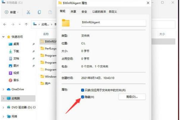 Win11隐藏文件怎么显示出来？win11隐藏文件显示设置方法