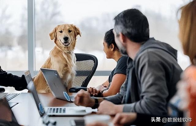 u盘中的文件出现乱码问题
