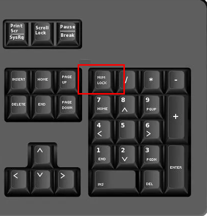 win11无线网络密码无法输入怎么解决?