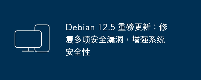 Debian 12.5 重磅更新：修复多项安全漏洞，增强系统安全性