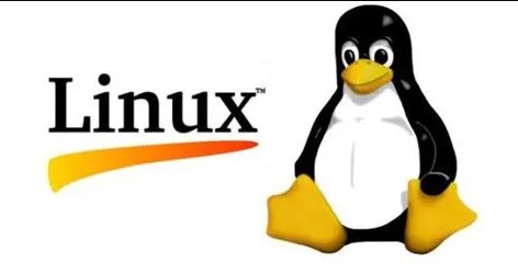 Java JUnit 革新：转变单元测试规则